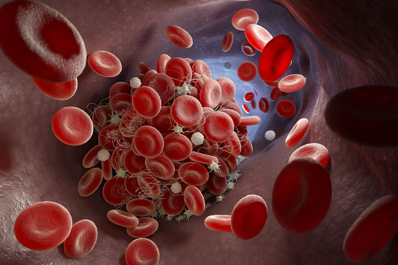 Red Blood Cells